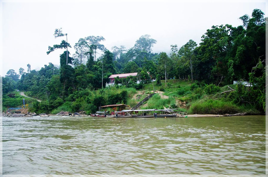 malaysia paninsular national parks pahang taman negara