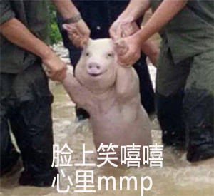 脸上笑嘻嘻 心里mmp猪猪表情包