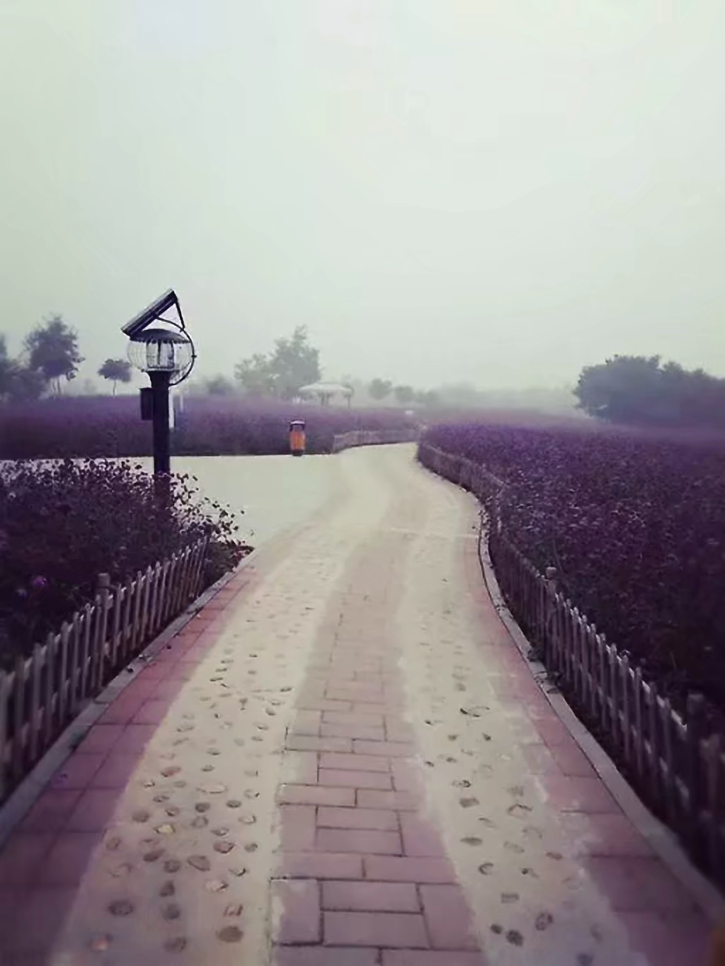 路过人间 满心欢喜