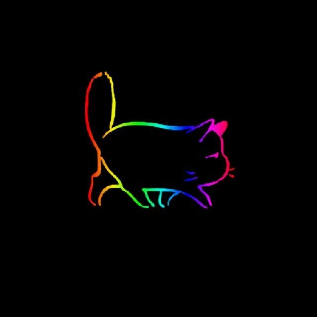 彩色透明猫头像