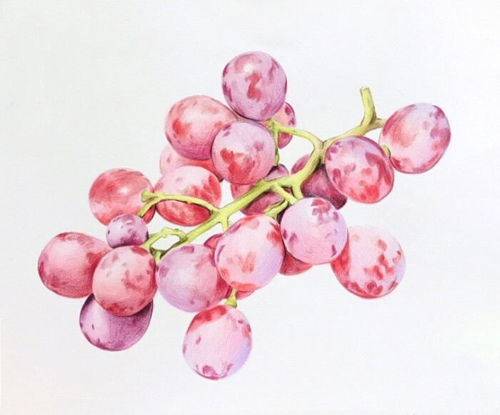 彩铅 水果 葡萄