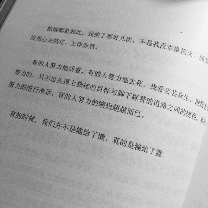 " 你是书里的主角我是讲故事的人 " 图片/平铺/简单/文字/锁屏壁纸