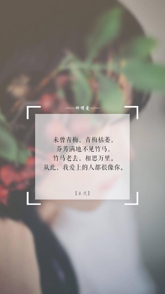 时光不老,青春不散