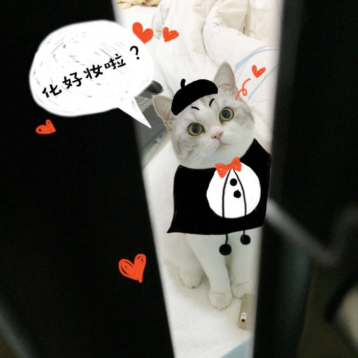 萝莉 软妹 仙女 少女 情侣 头像 猫咪表情包可以撩妹撩汉用吖qaq