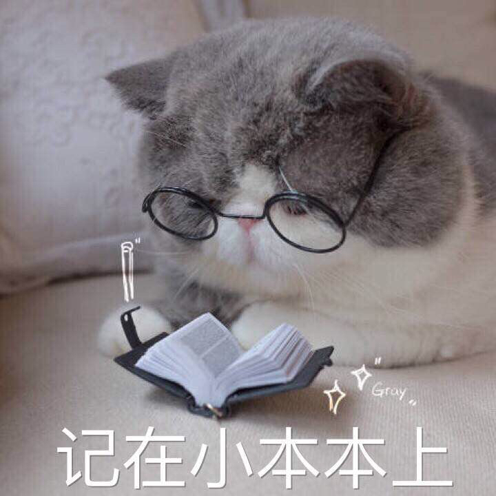 猫咪表情包