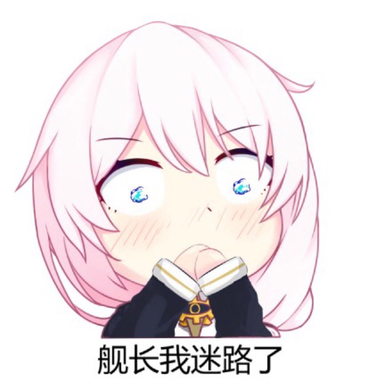 【崩坏3】表情包 芽衣 琪亚娜 布洛尼娅 姬子 八重樱 鬼铠 月光 山吹