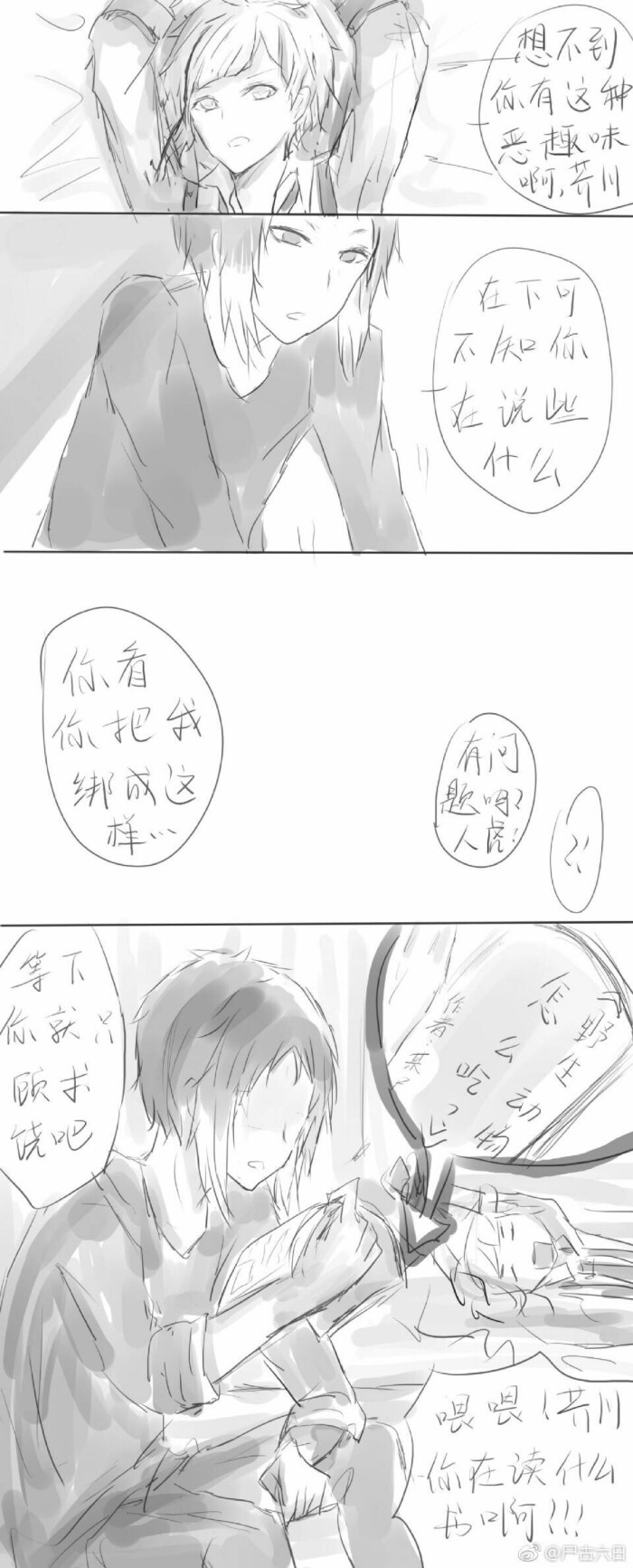 文豪野犬##新双黑##芥敦##双黑