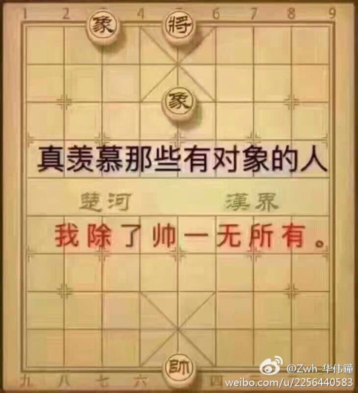 我除了帅一无所有