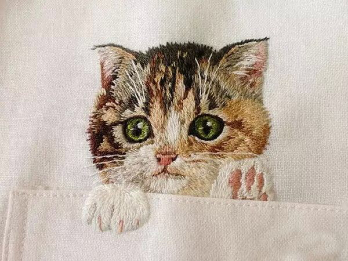 刺绣猫咪