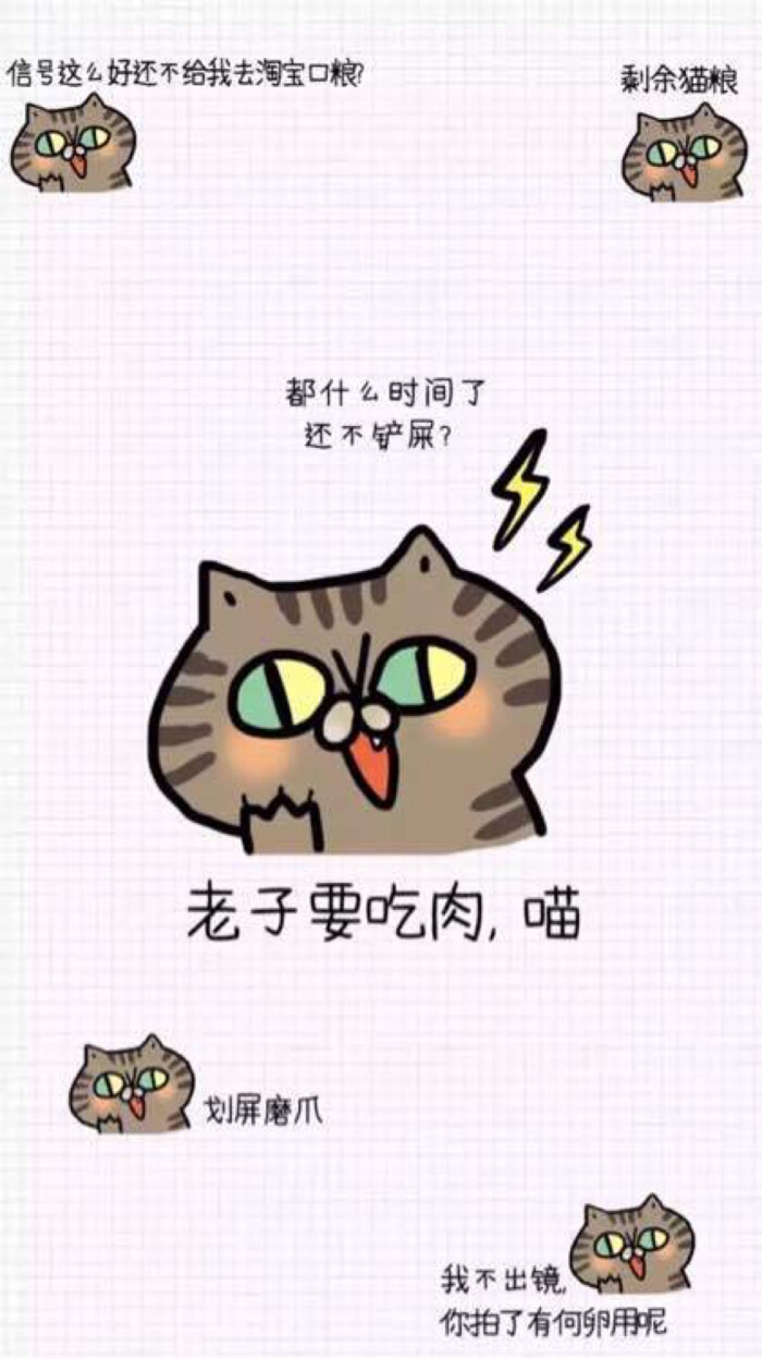 搞笑 逗比 有趣 猫 傲娇 壁纸锁屏