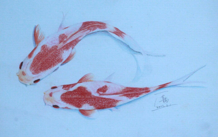 【彩铅画-鱼 很久以前的画了!