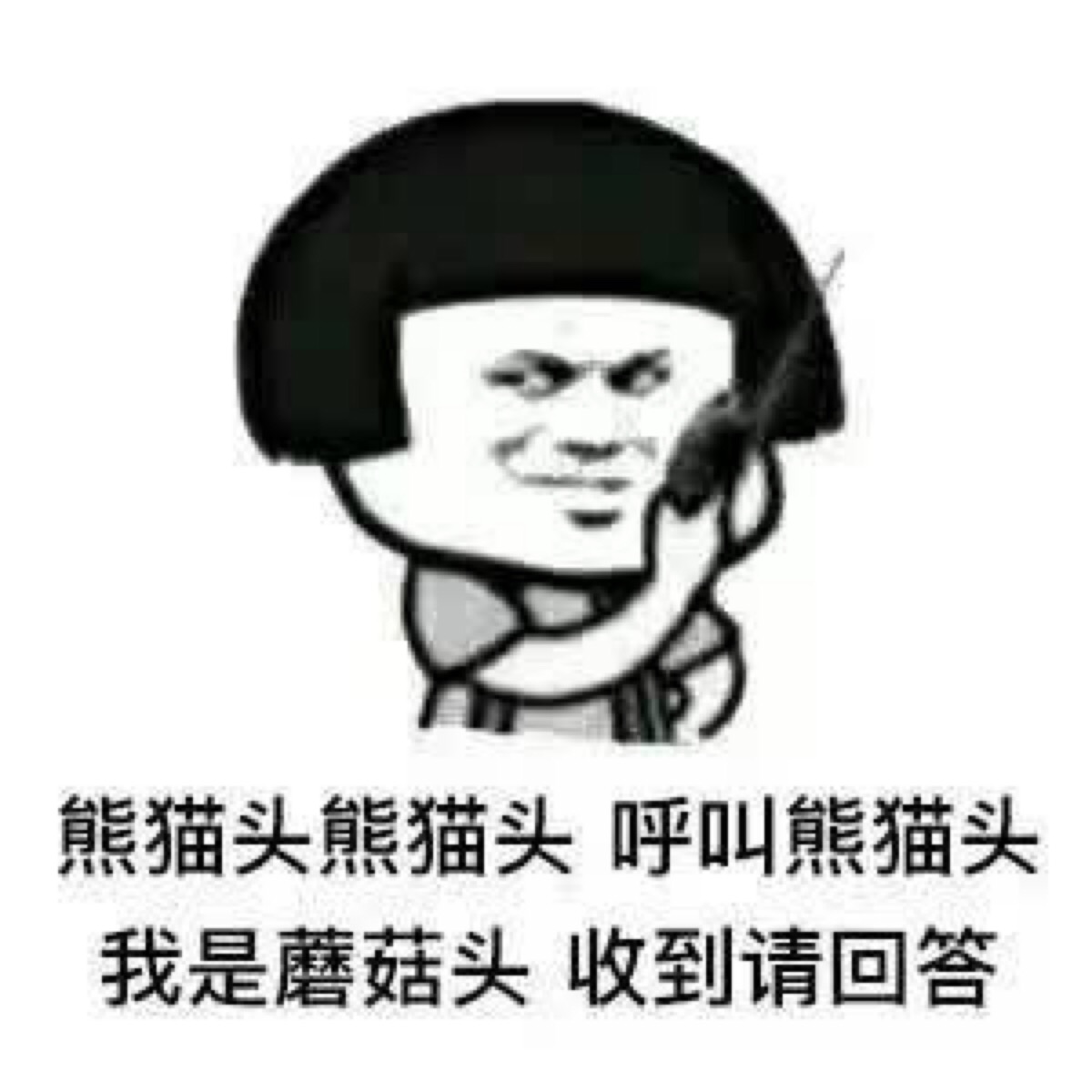 金馆长熊猫 蘑菇头 表情包