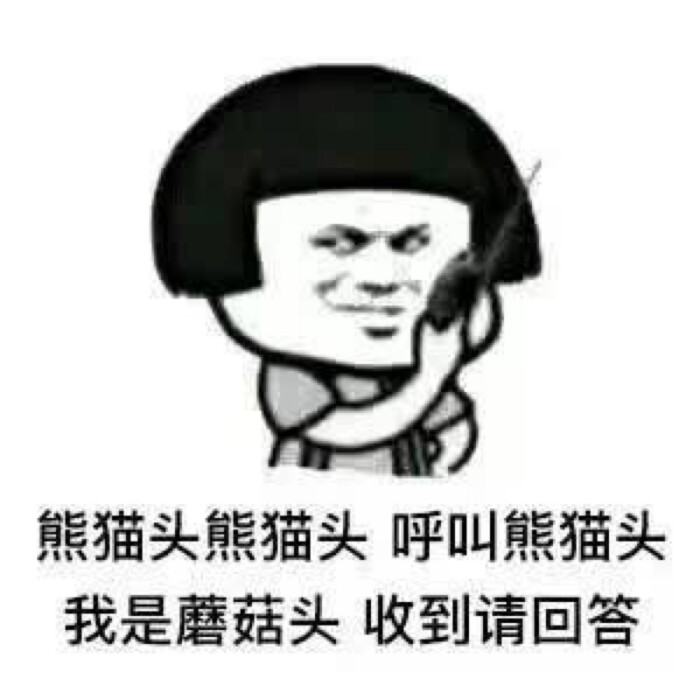 金馆长熊猫 蘑菇头 表情包