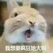 我想要疯狂大叫