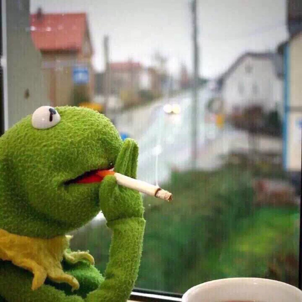 kermit 