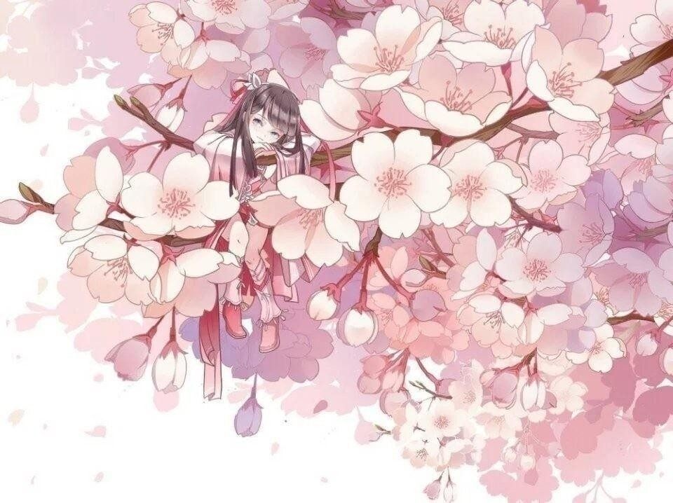 壁纸.动漫.樱花.少女