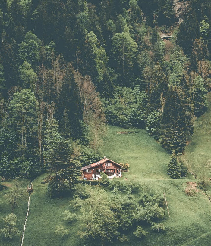 远方的风景 绿林中小屋.做背景图