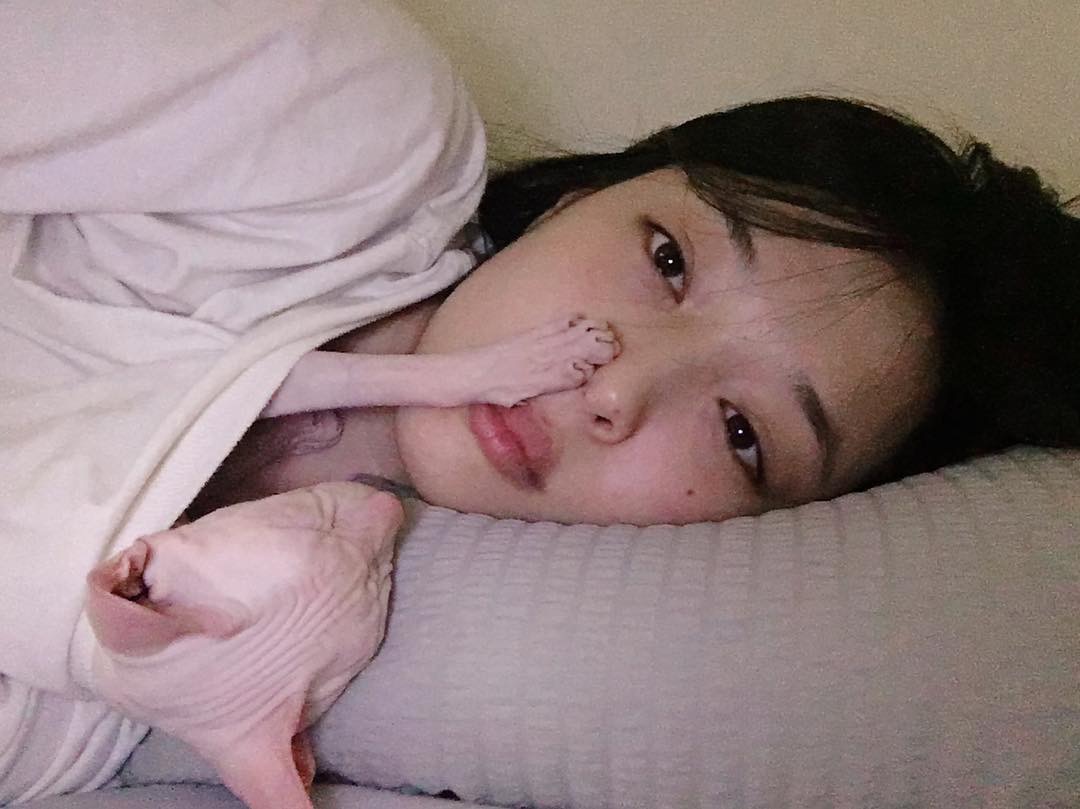 崔雪莉 崔真理 sulli