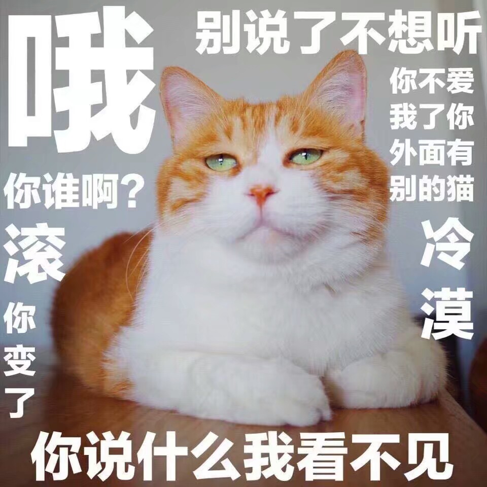 猫咪表情包