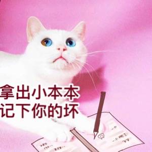 软妹 仙女 少女 情侣 头像 猫咪撩妹撩汉头像斗图表情包