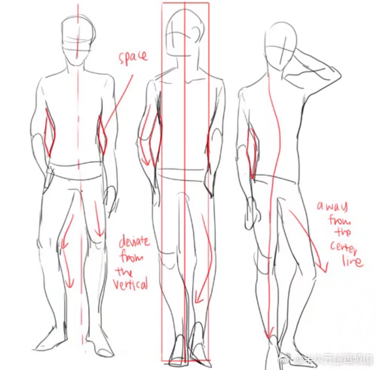 kelps的男性腿部&人体绘制,画腿部时要记得肌肉线条看上去会更自然