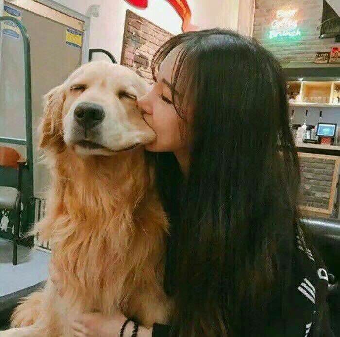 狗狗&情头