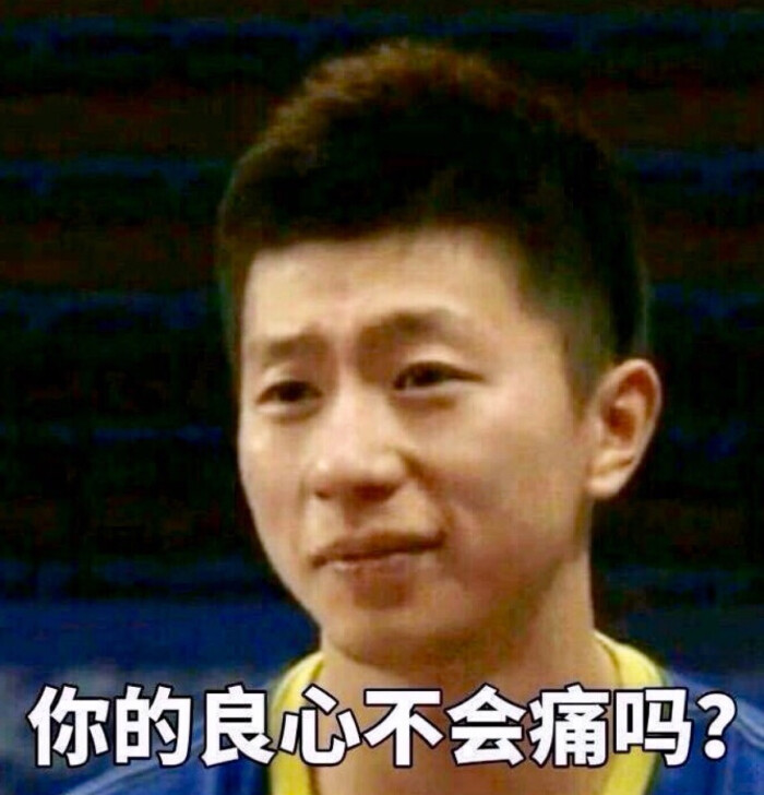 "你的良心不会痛吗?"