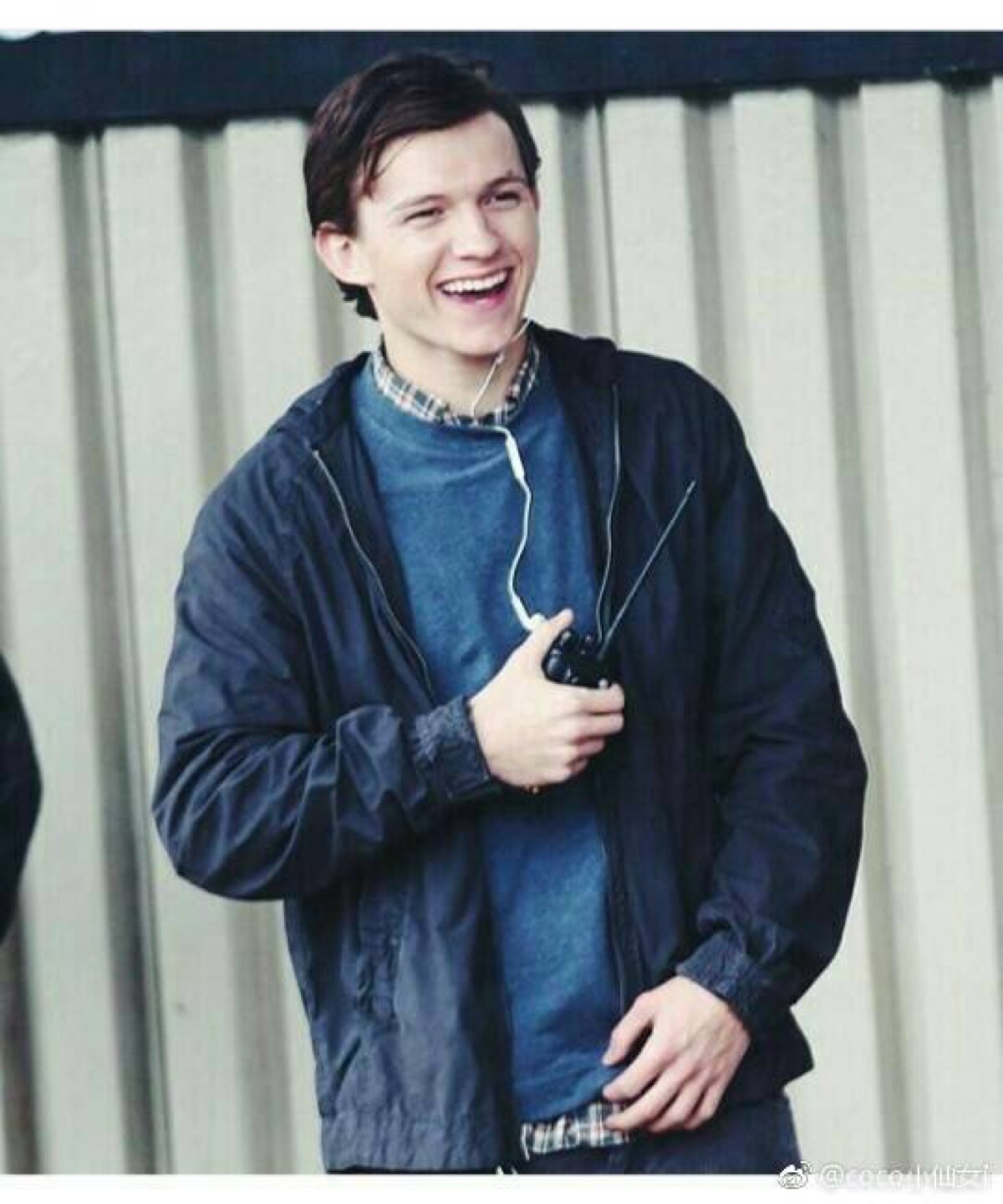 tomholland