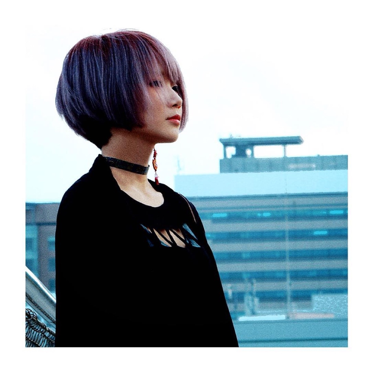 reol 