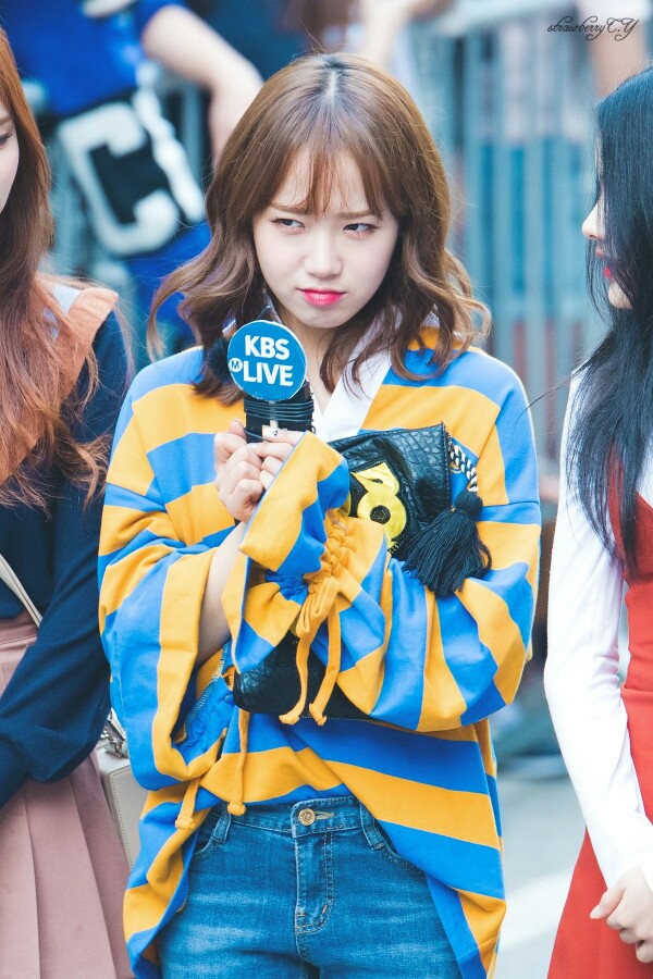磪有情 i.o.i weki meki