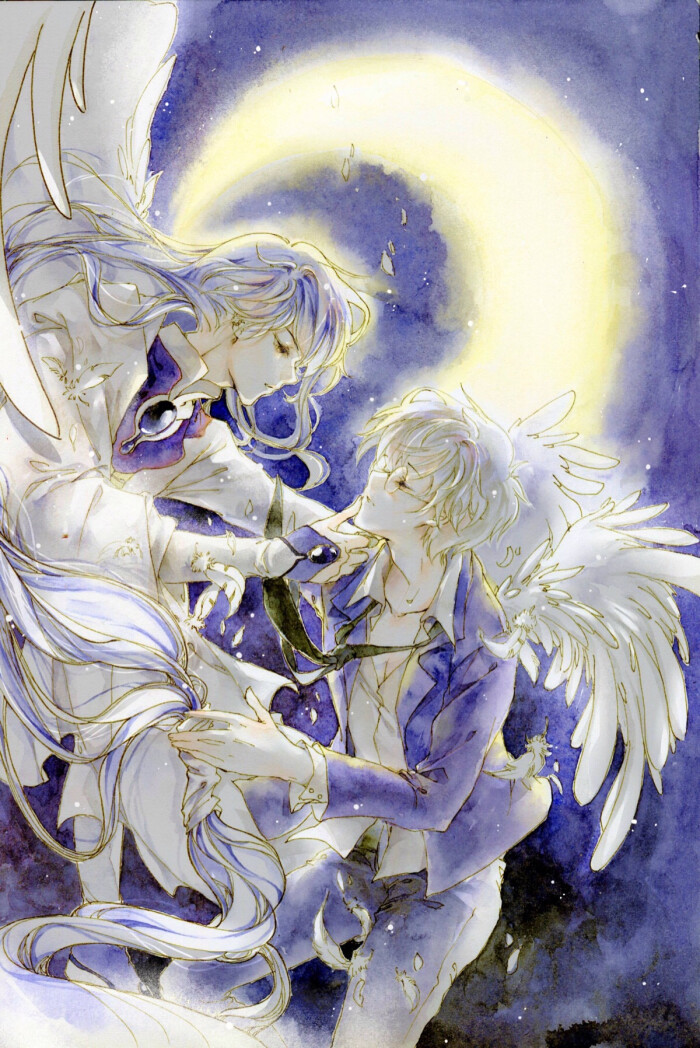 百变小樱 魔卡少女樱 库洛x月库洛牌 桃矢x雪兔 讲实话月真是美出了