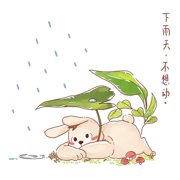 下雨天,不想动!