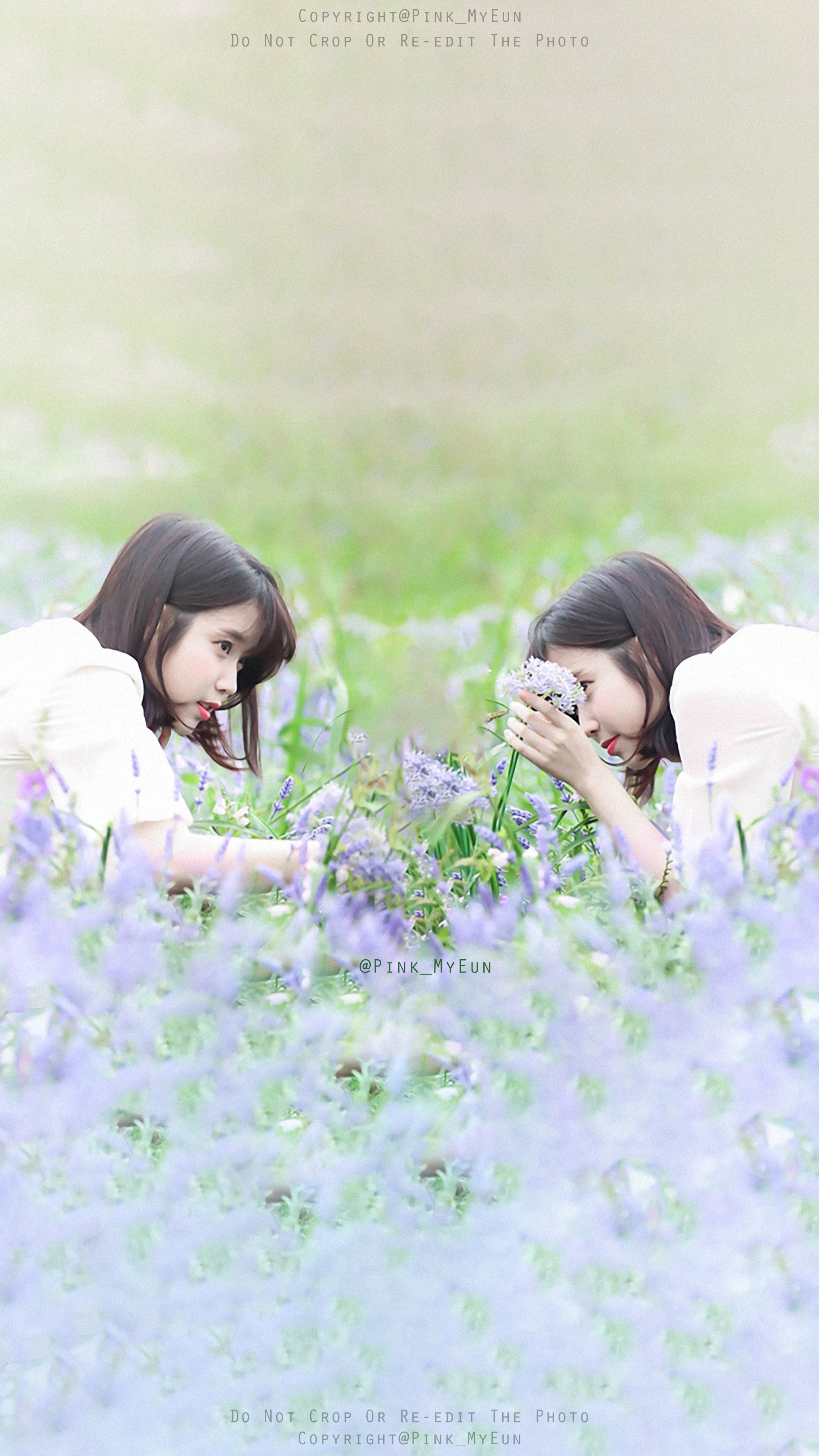 iu 李智恩 李知恩 花书签2 cr:pink_myeun-堆糖,美好生活研究所