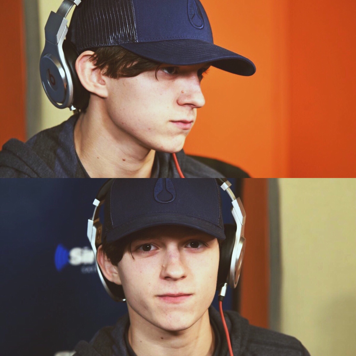 tomholland