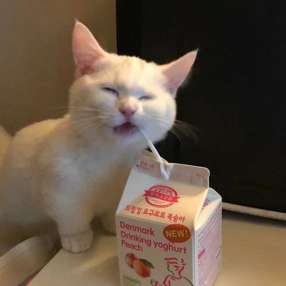喵愣nyan(д)女生头像(既然收藏了就粉一个呗)