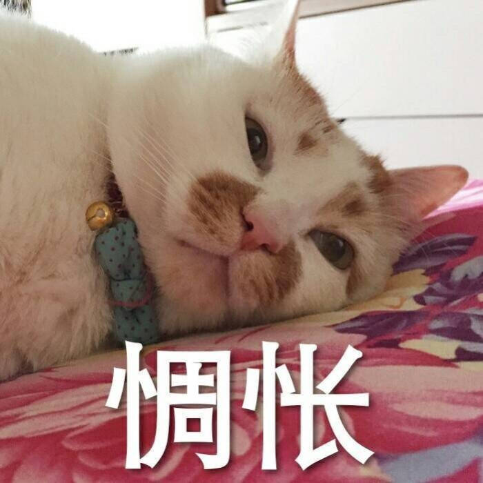 惆怅