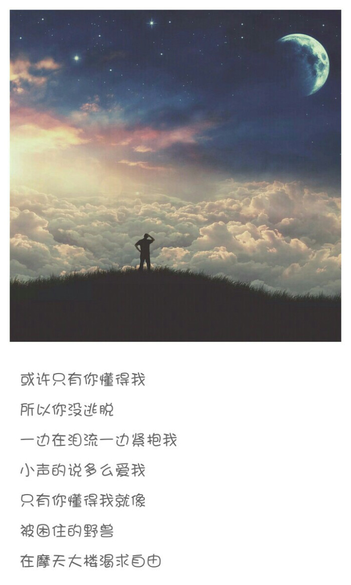 林宥嘉【想自由】 背景音乐里的提琴声是什么提琴?