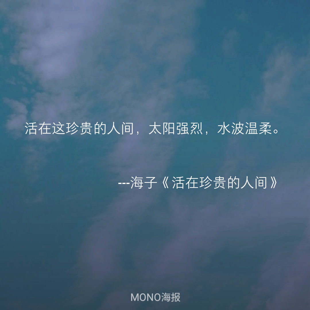 mono海报