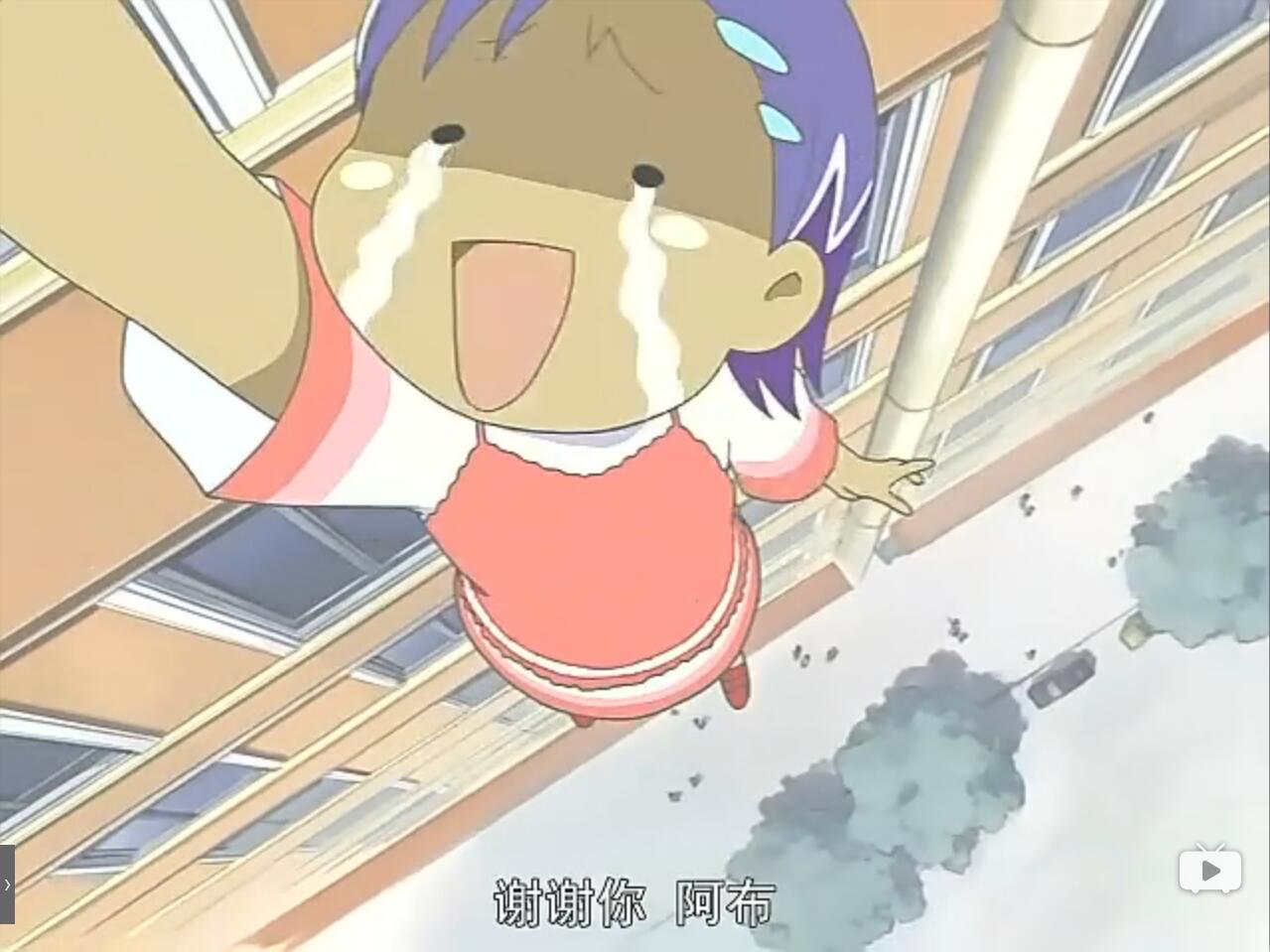 小晴 阿布 热带雨林的爆笑生活 搞笑