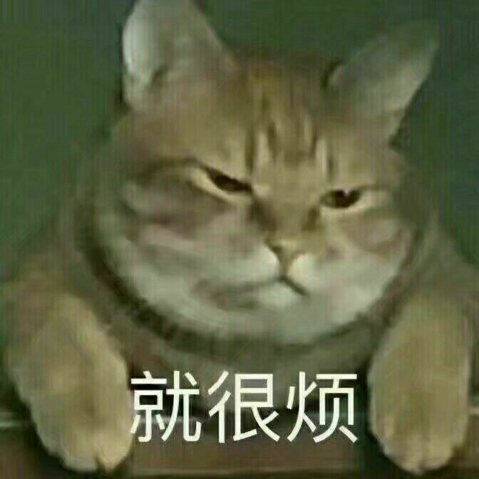 猫咪表情包