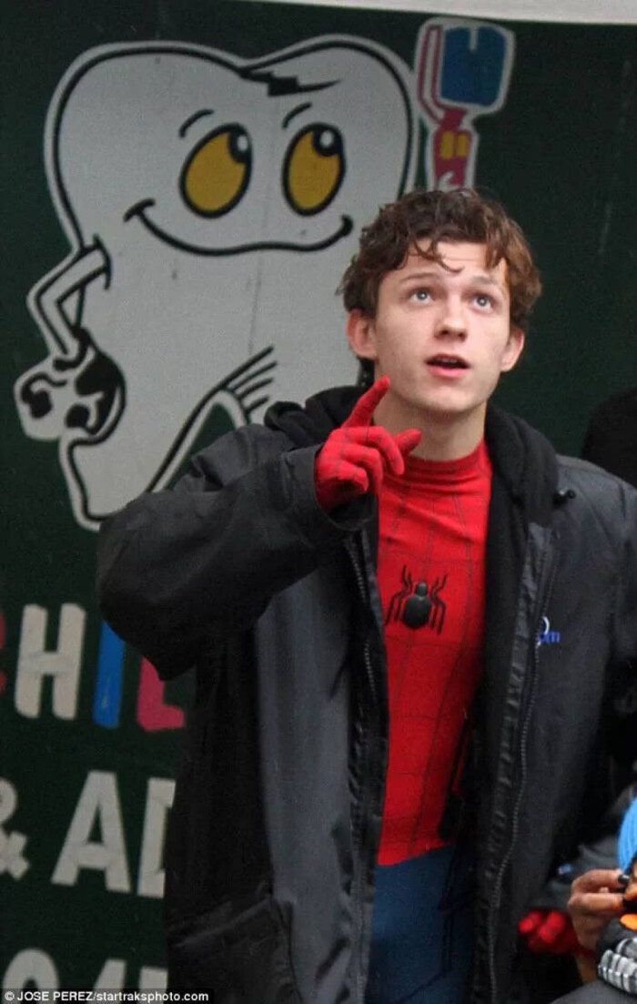 tomholland