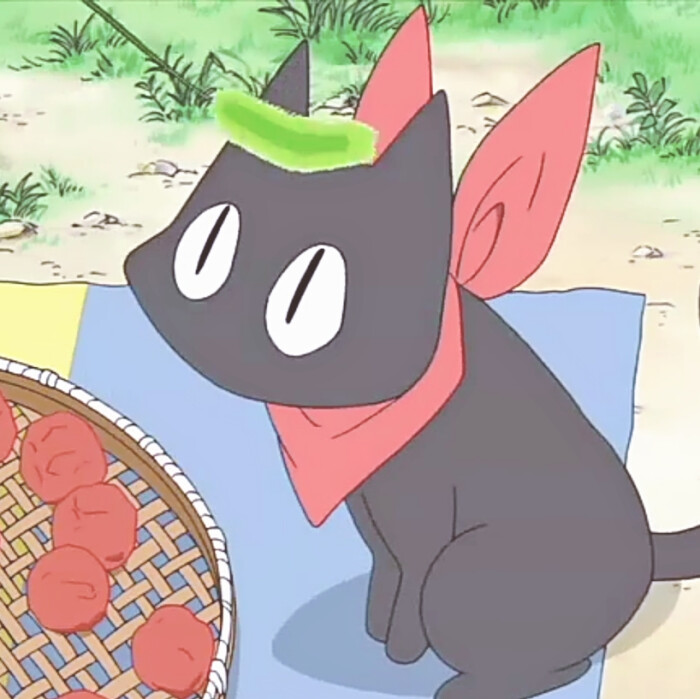 《日常》黑猫,自截,头像,狗尾草