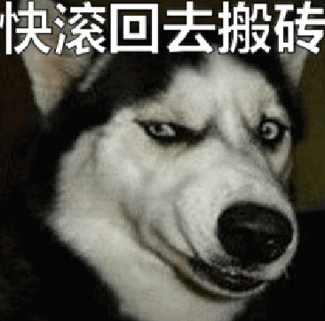 二哈表情包