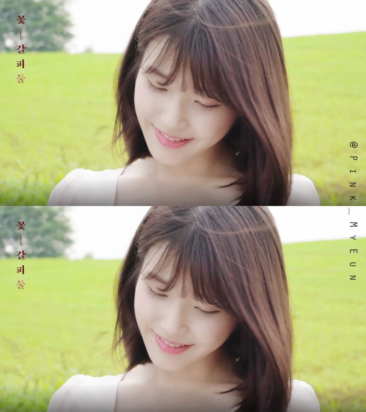 李智恩 | iu | 花书签 【不妥删】【cr.pink_myeun】