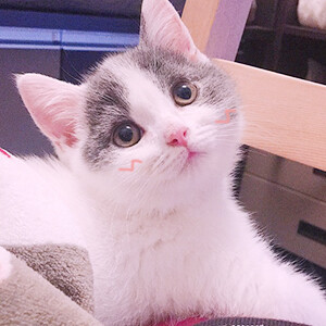 我踮起脚尖 轻轻环绕你的肩-堆糖,美好生活研究