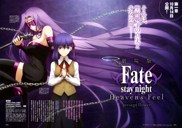 fate/stay night [heaven"s feel]