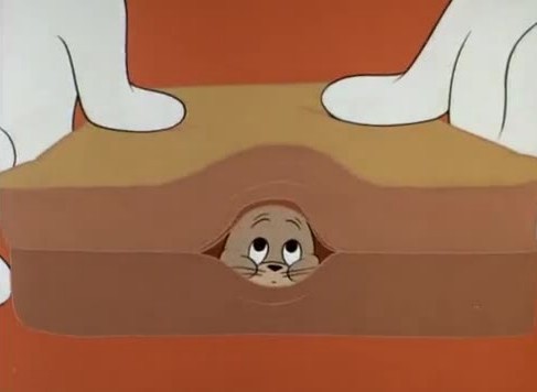 猫和老鼠