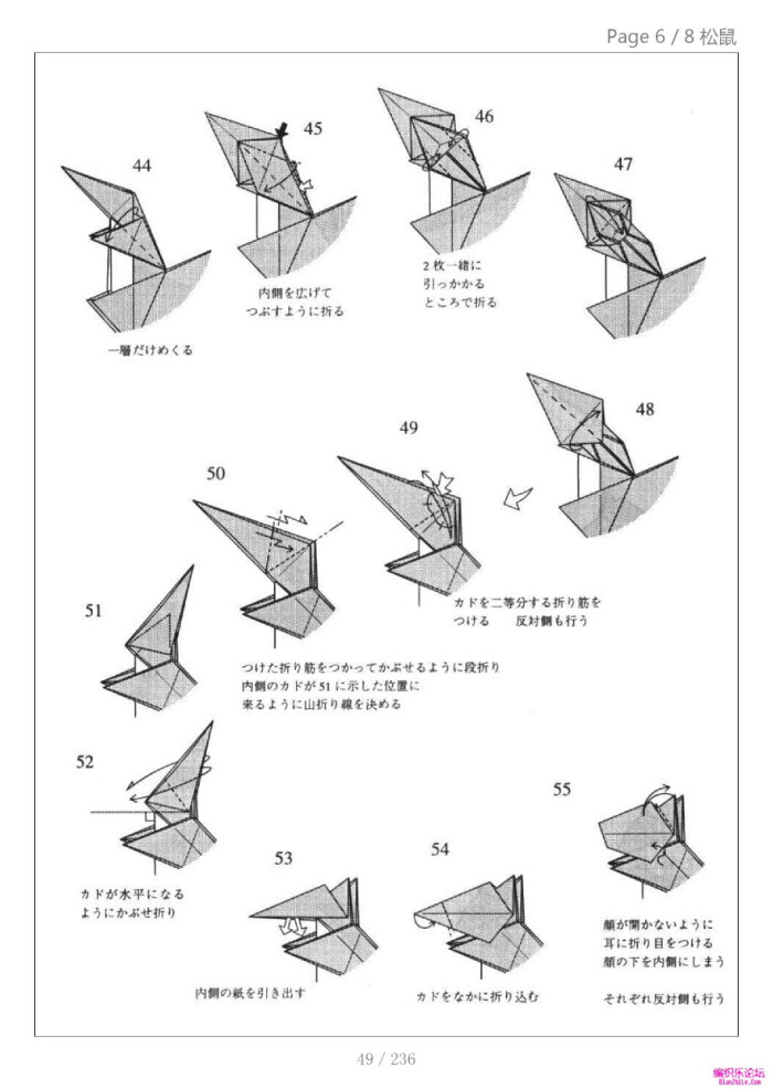 小松英夫 松鼠