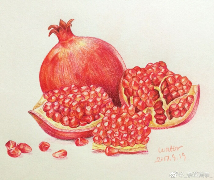 彩铅手绘(石榴)