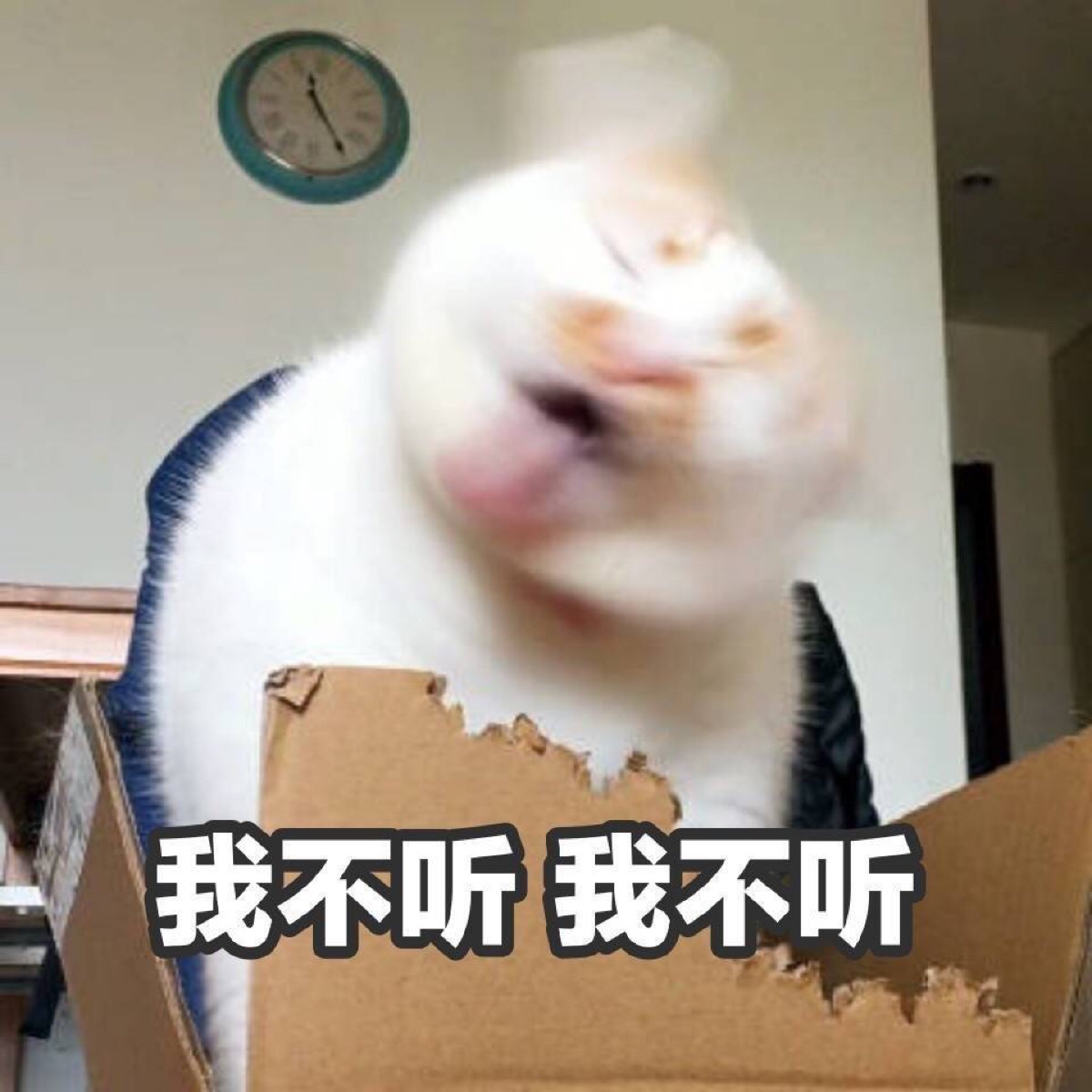 "合集一波"猫猫表情包,贱萌或可爱,陪你搞怪或深爱.